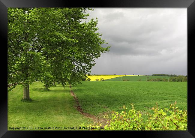 Rapeseed Oil Field Storm Yellow Framed Print by DEE- Diana Cosford