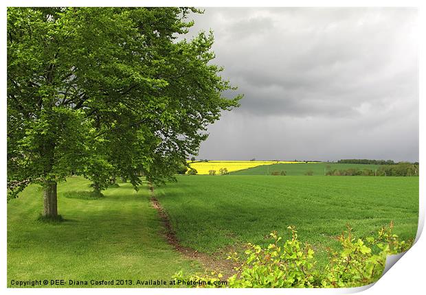 Rapeseed Oil Field Storm Yellow Print by DEE- Diana Cosford