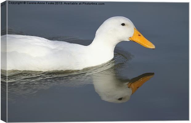 Reflective Duck Canvas Print by Carole-Anne Fooks
