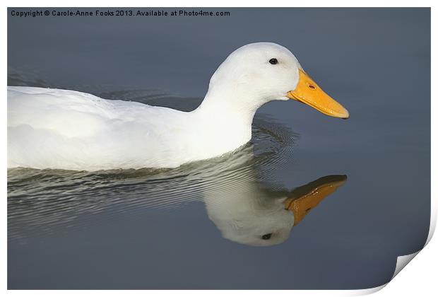 Reflective Duck Print by Carole-Anne Fooks
