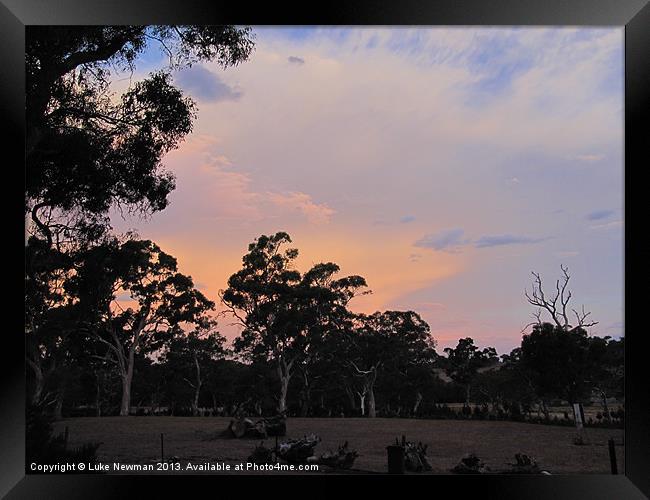 Gumtree Sunset Framed Print by Luke Newman