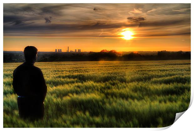 Cornfield Sunset Print by Simon West