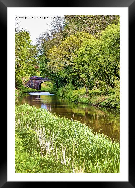 Spring Time Canal Framed Mounted Print by Brian  Raggatt