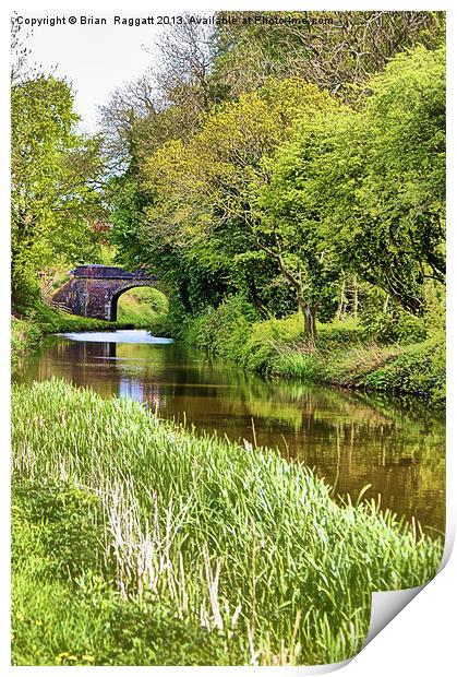 Spring Time Canal Print by Brian  Raggatt