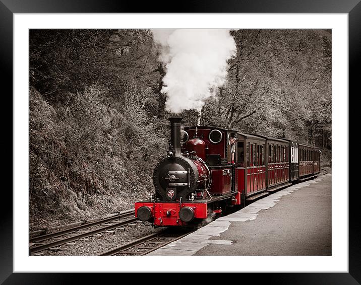 Talyllyn Railway, Wales, UK Framed Mounted Print by Mark Llewellyn