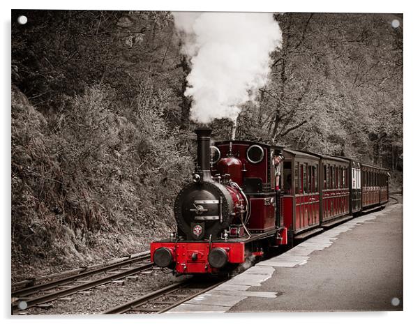 Talyllyn Railway, Wales, UK Acrylic by Mark Llewellyn