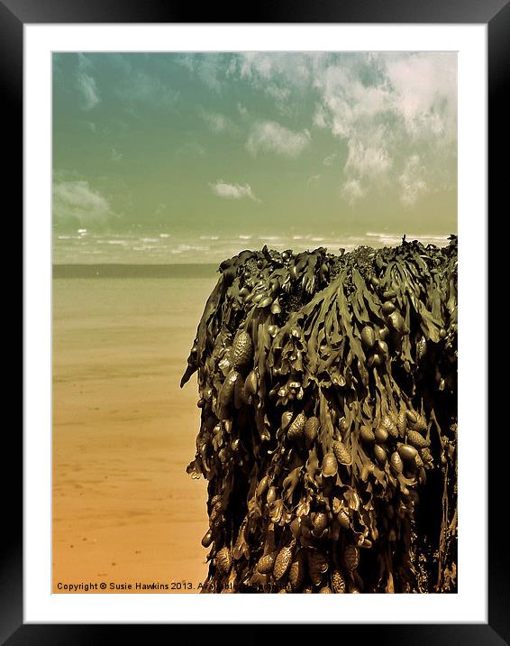 Low Tide Framed Mounted Print by Susie Hawkins