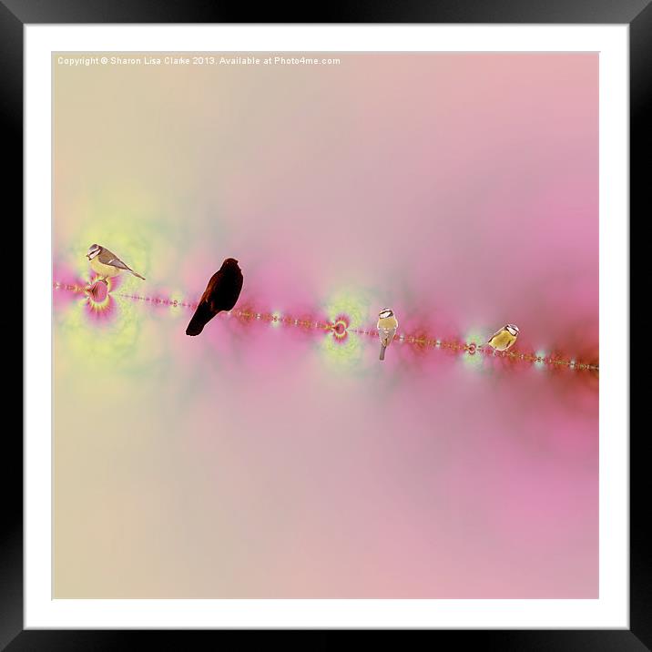 Birds on a wire pink Framed Mounted Print by Sharon Lisa Clarke