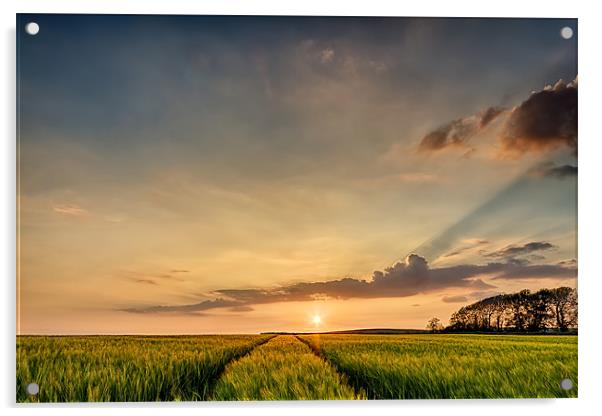 North Devon Sunset Acrylic by Dave Wilkinson North Devon Ph