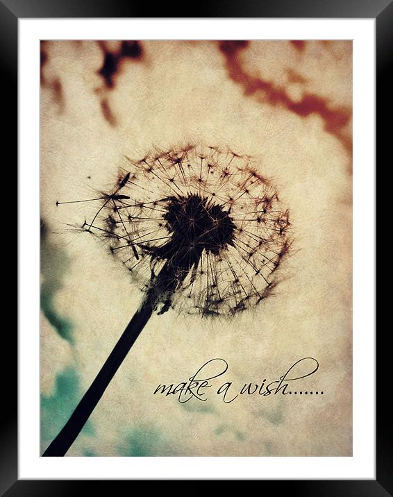 make a wish..... Framed Mounted Print by Heather Newton