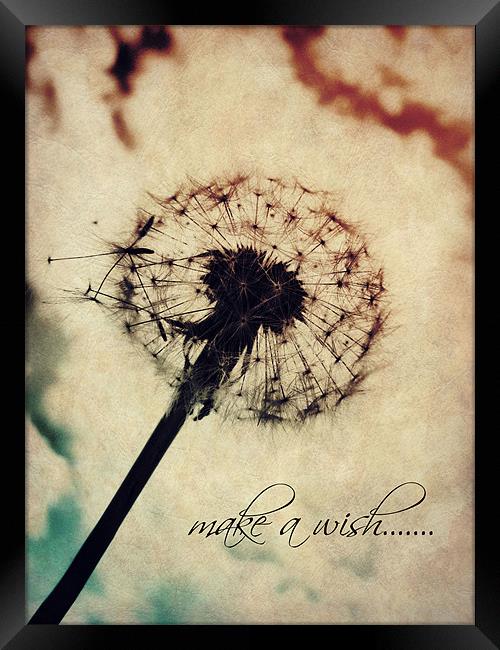 make a wish..... Framed Print by Heather Newton