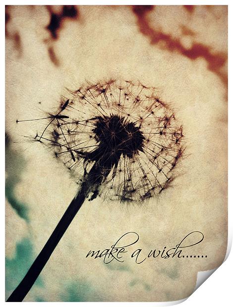 make a wish..... Print by Heather Newton
