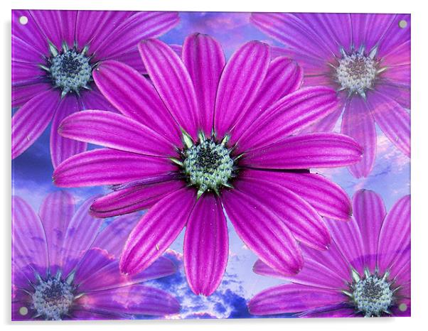 1628-purple flowers Acrylic by elvira ladocki