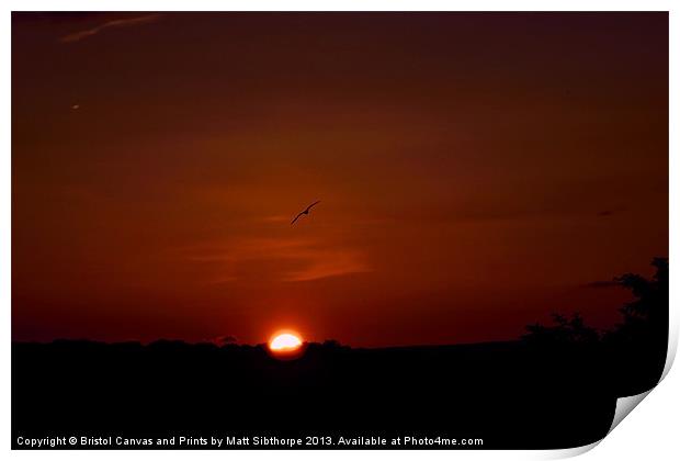 Time To Fly Print by Bristol Canvas by Matt Sibtho