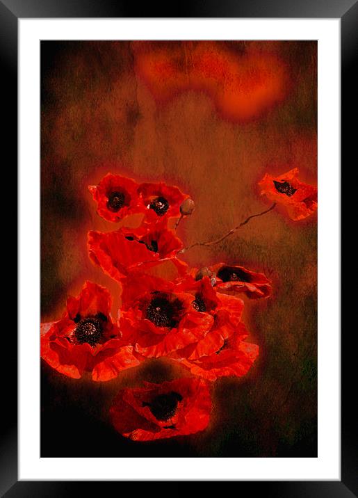 Forever Red Framed Mounted Print by Dawn Cox