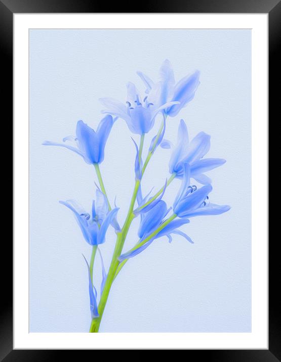 Digital Painted Flowers Framed Mounted Print by Clive Eariss