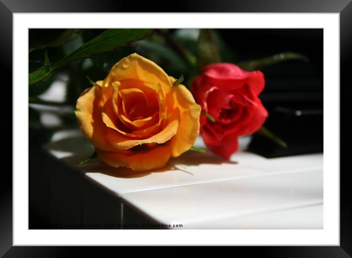 Red & Yellow Minature Roses Framed Mounted Print by Sandra Buchanan