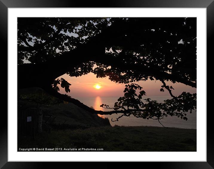 Sunset through tree north devon Framed Mounted Print by David Basset