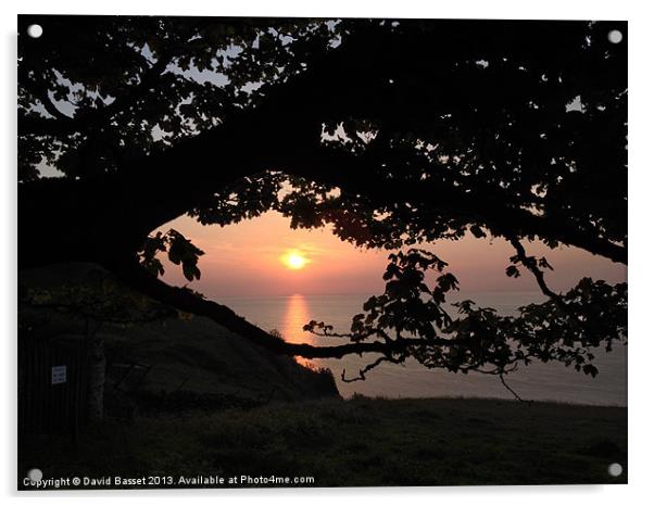 Sunset through tree north devon Acrylic by David Basset