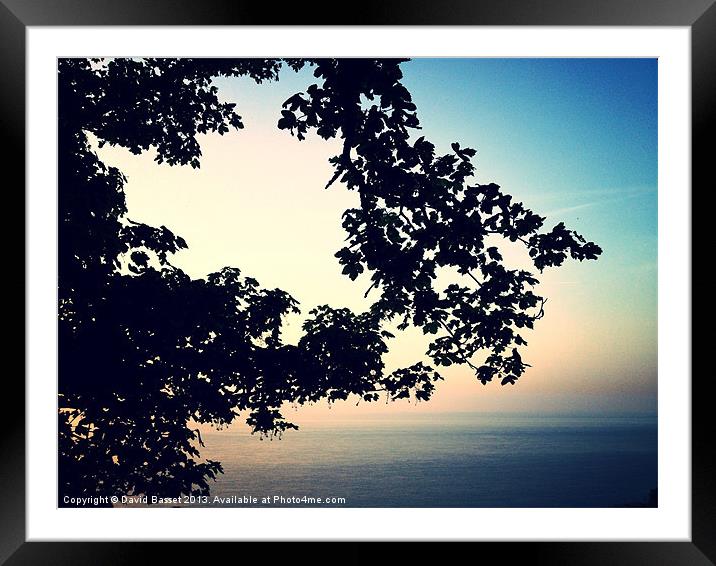 Sea view through branches devon Framed Mounted Print by David Basset