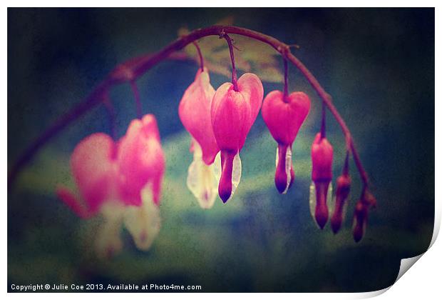 Bleeding Hearts 13 Print by Julie Coe