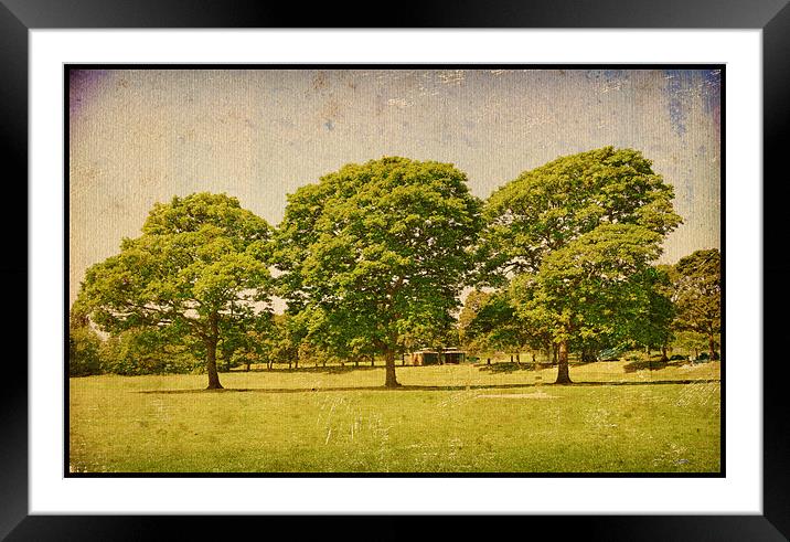 Beautiful Green Trees!! Framed Mounted Print by Nadeesha Jayamanne