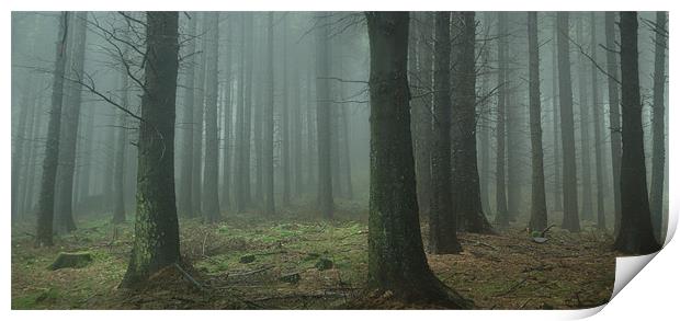 Macclesfield Forest Print by Richard Cooper