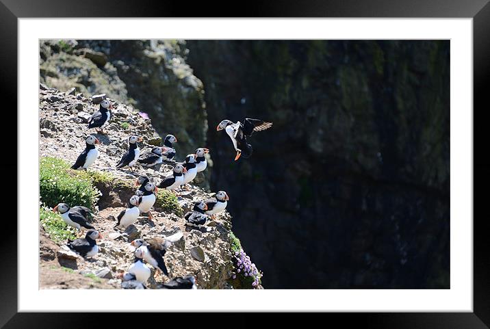 Coming in to land Framed Mounted Print by Gary Pearson