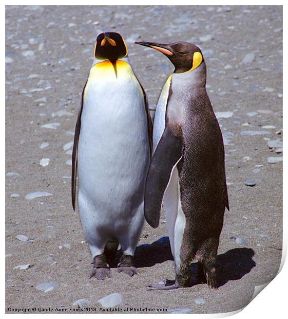 Pair of King Penguins Print by Carole-Anne Fooks