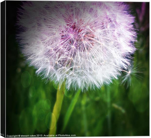 wishes, good things too come Canvas Print by stewart oakes