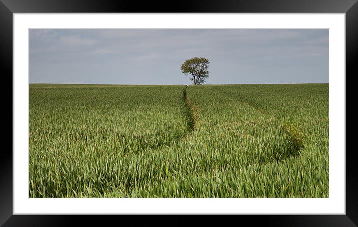 Lone Tree in a Green Landscape Framed Mounted Print by Nigel Jones