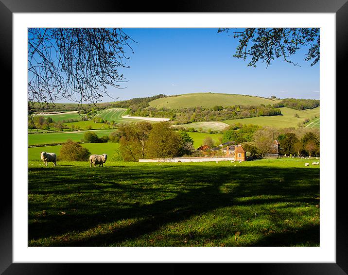 Wessex Downs, Berkshire, England, UK Framed Mounted Print by Mark Llewellyn