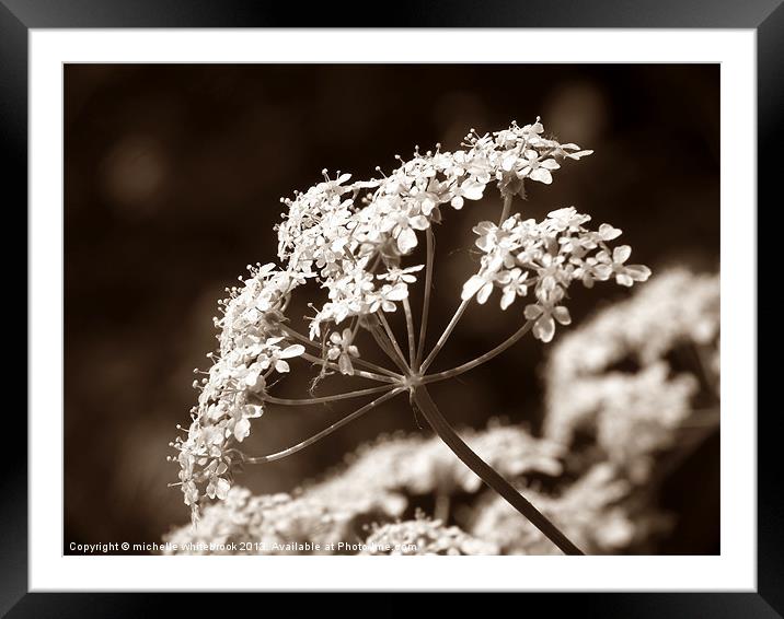 Sepia wild Framed Mounted Print by michelle whitebrook