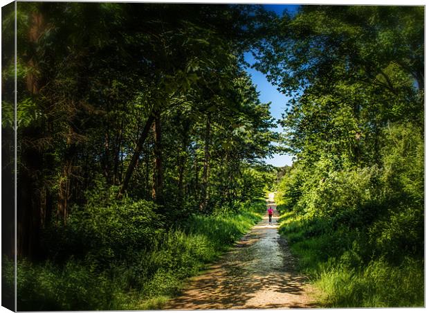 The Lonely forest runner Canvas Print by Ian Johnston  LRPS