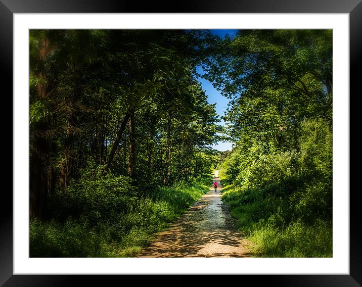The Lonely forest runner Framed Mounted Print by Ian Johnston  LRPS