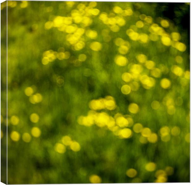 Hedgerow Abstract - Hay Fever Camera Canvas Print by Ian Johnston  LRPS