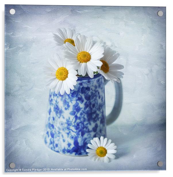 Daisies in a blue Jug Acrylic by Sandra Pledger