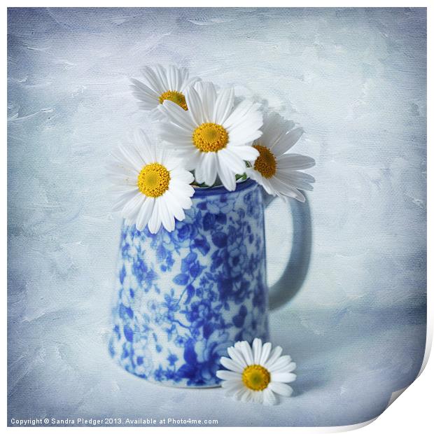 Daisies in a blue Jug Print by Sandra Pledger