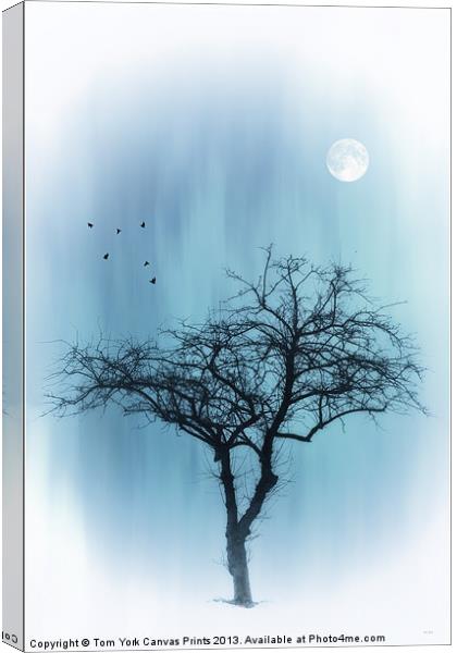 A TREE IN BLUE Canvas Print by Tom York