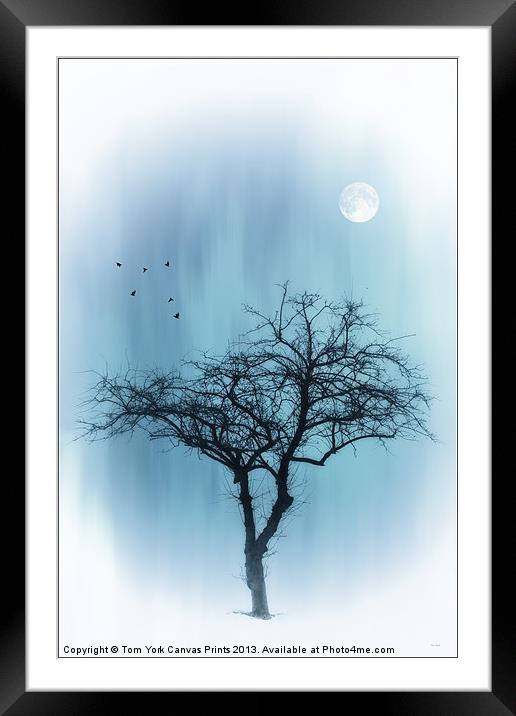 A TREE IN BLUE Framed Mounted Print by Tom York
