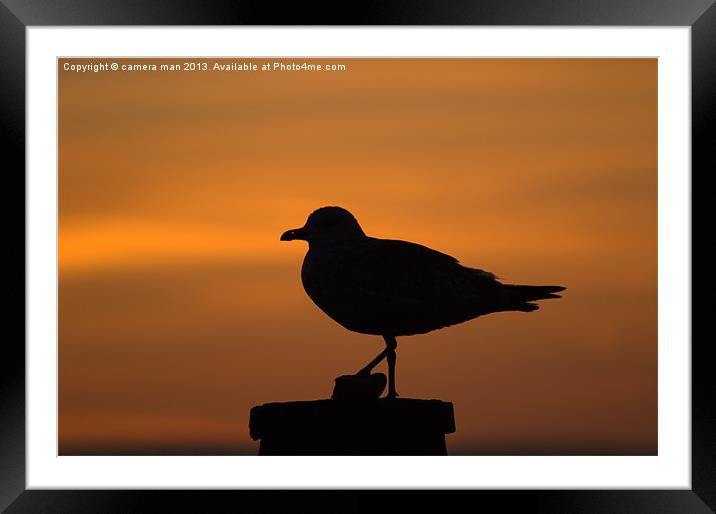 Dawn Patrol Framed Mounted Print by camera man