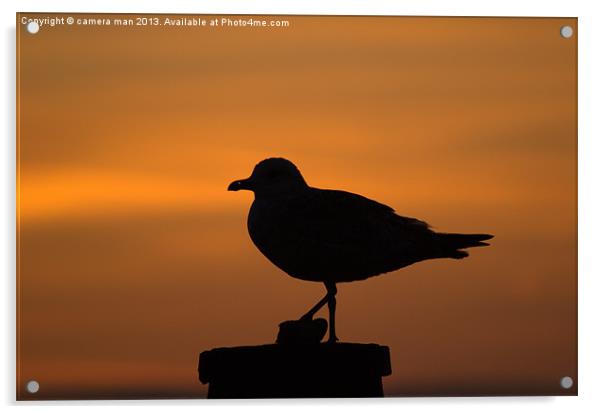 Dawn Patrol Acrylic by camera man