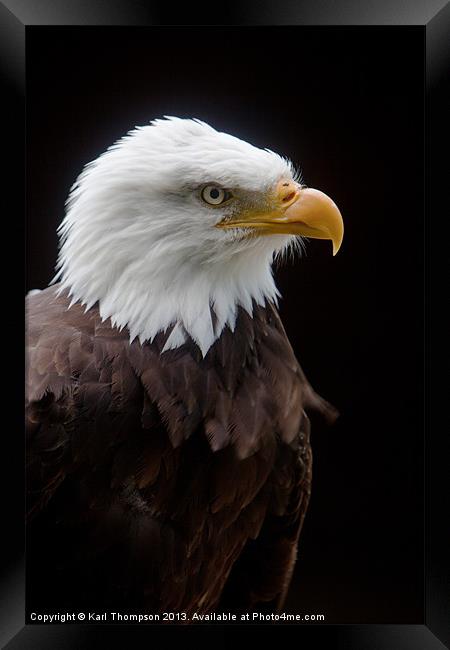Majestic AMerican Bald Eagle Framed Print by Karl Thompson