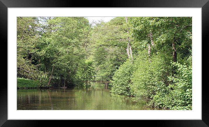 view to the bridge Framed Mounted Print by Martyn Bennett