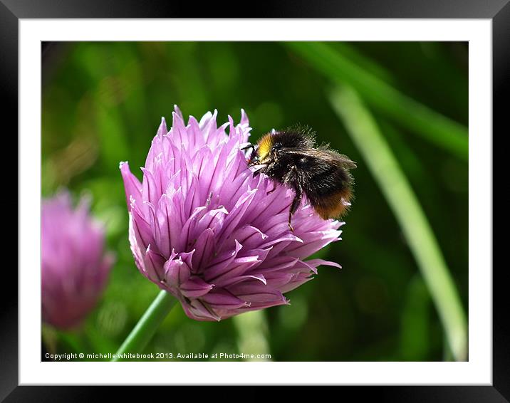 BEE 6 Framed Mounted Print by michelle whitebrook