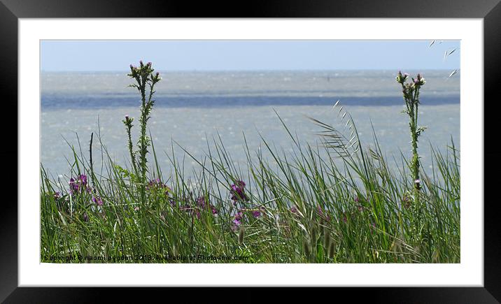 Through the grass to the sea Framed Mounted Print by N C Photography