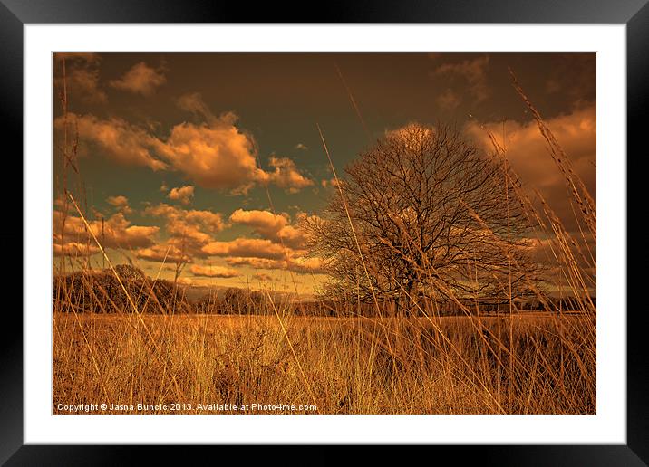 Watching from the tall grass Framed Mounted Print by Jasna Buncic
