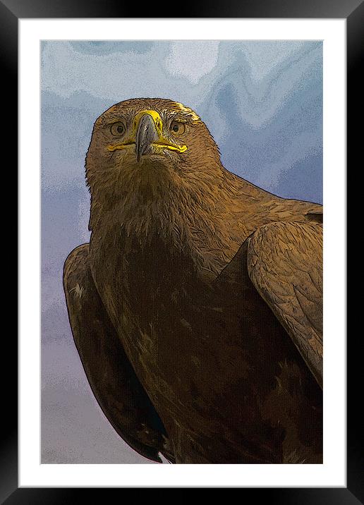 Golden Eagle Portrait with texture Framed Mounted Print by Bill Simpson
