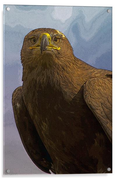 Golden Eagle Portrait with texture Acrylic by Bill Simpson