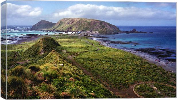 Macquarie Island and The Research Station Canvas Print by Carole-Anne Fooks